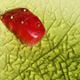 Illustration for article titled Shooting Challenge Gallery: Sunshine